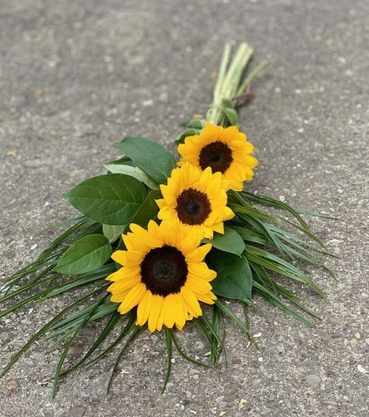 Funeral - Sunflower Tied Sheaf
